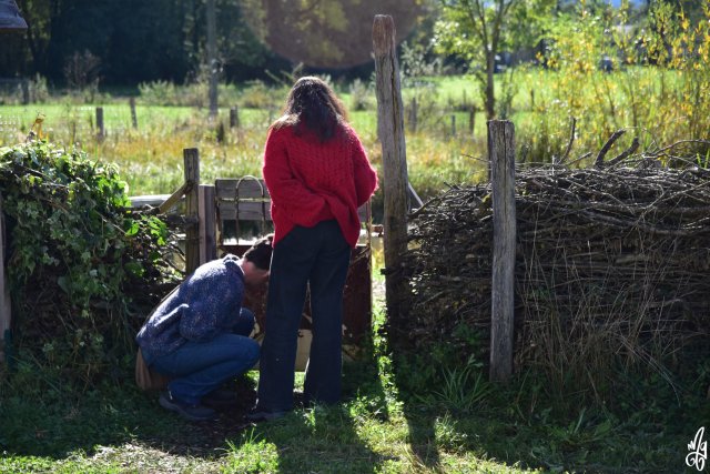 24-10-19-12H47-DSC_1170